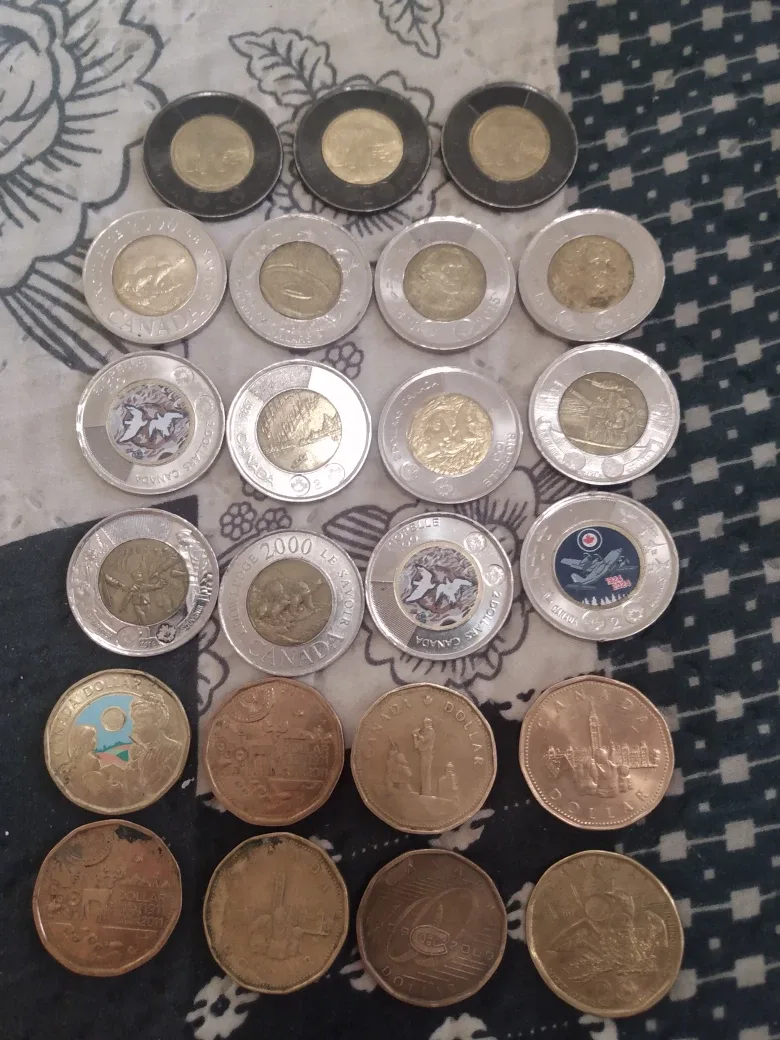 special edition toonies and loonies thumbnail