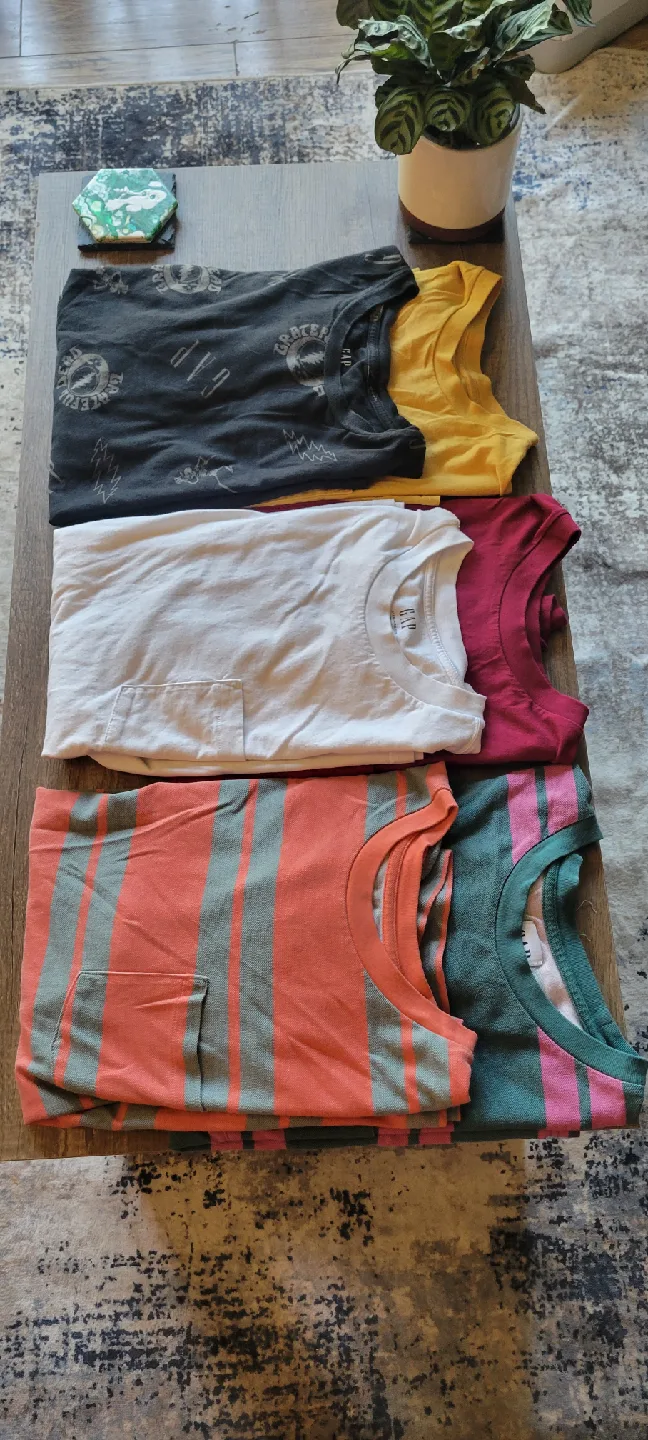 Gap T-Shirts - Assorted Colours - Bundle of 6 image indicator(2)