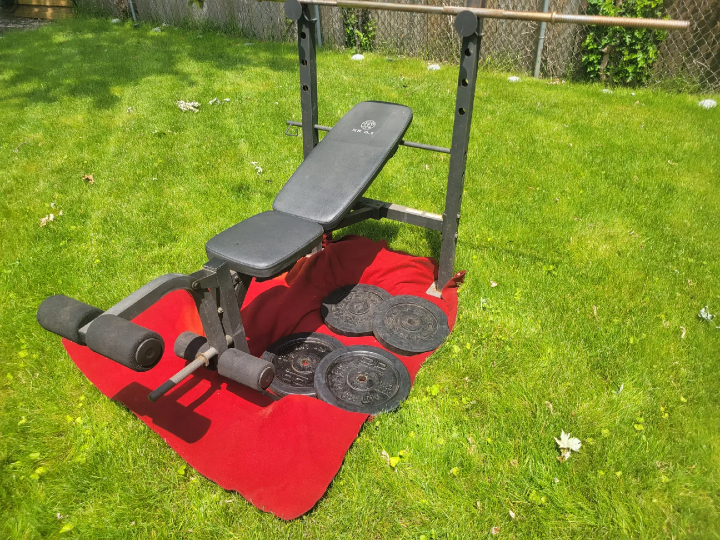 MARCY. BENCH WITH 100LBs OF 1" HOLE PLATES.  4-25s thumbnail