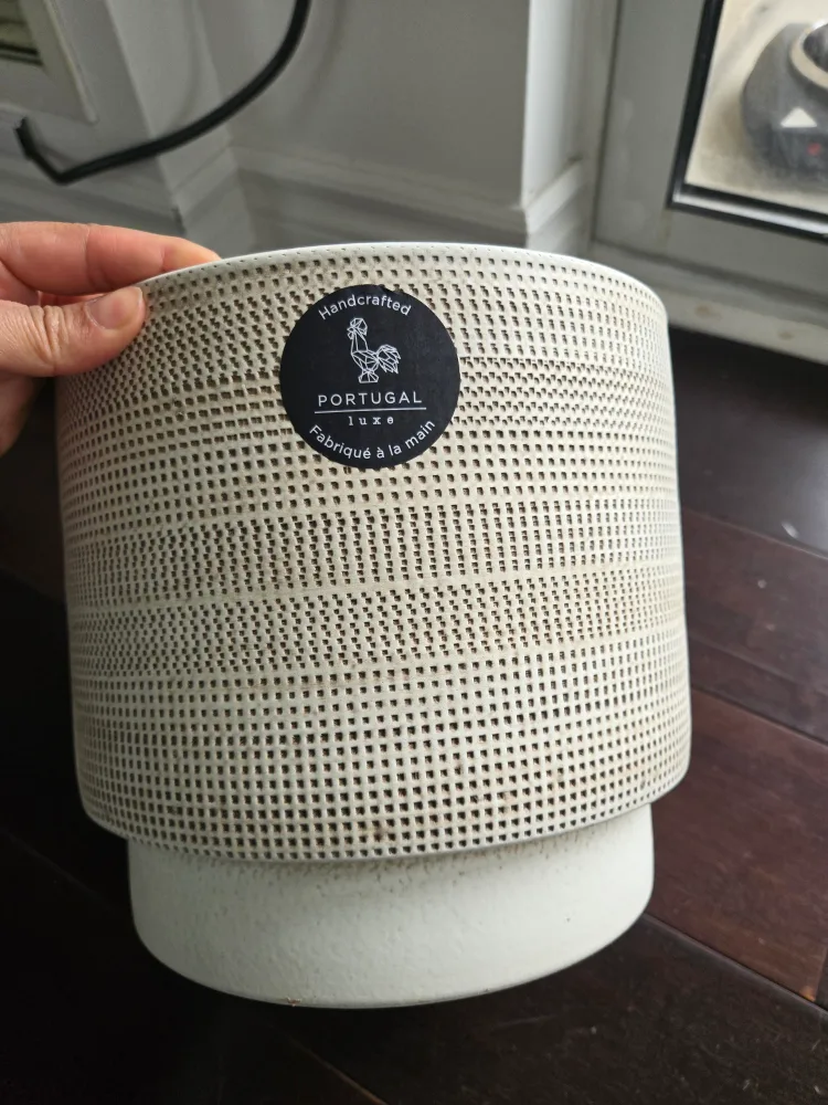 Hand Pot Ceramic Planter - Portugal Luxe🥕 image indicator(2)