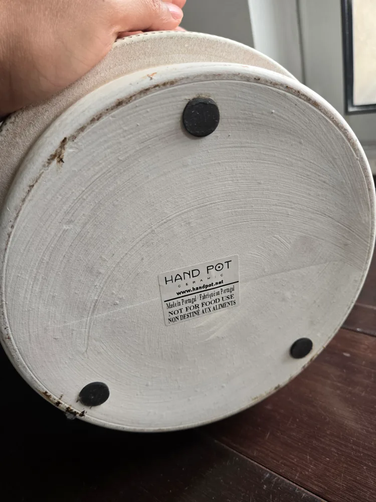 Hand Pot Ceramic Planter - Portugal Luxe🥕 image indicator(3)