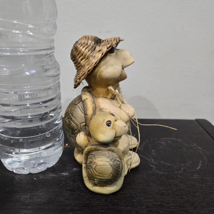 Garden Turtle image indicator(2)