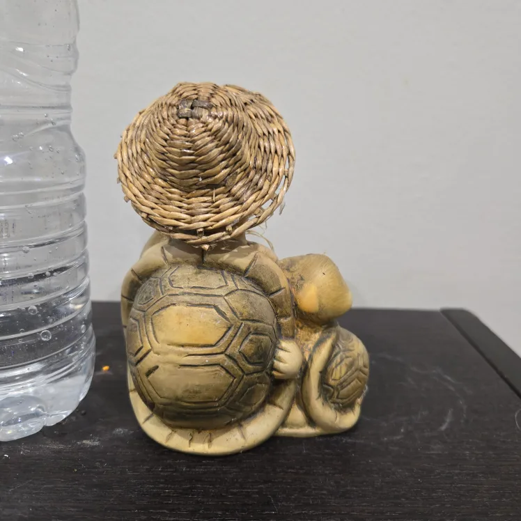 Garden Turtle image indicator(3)