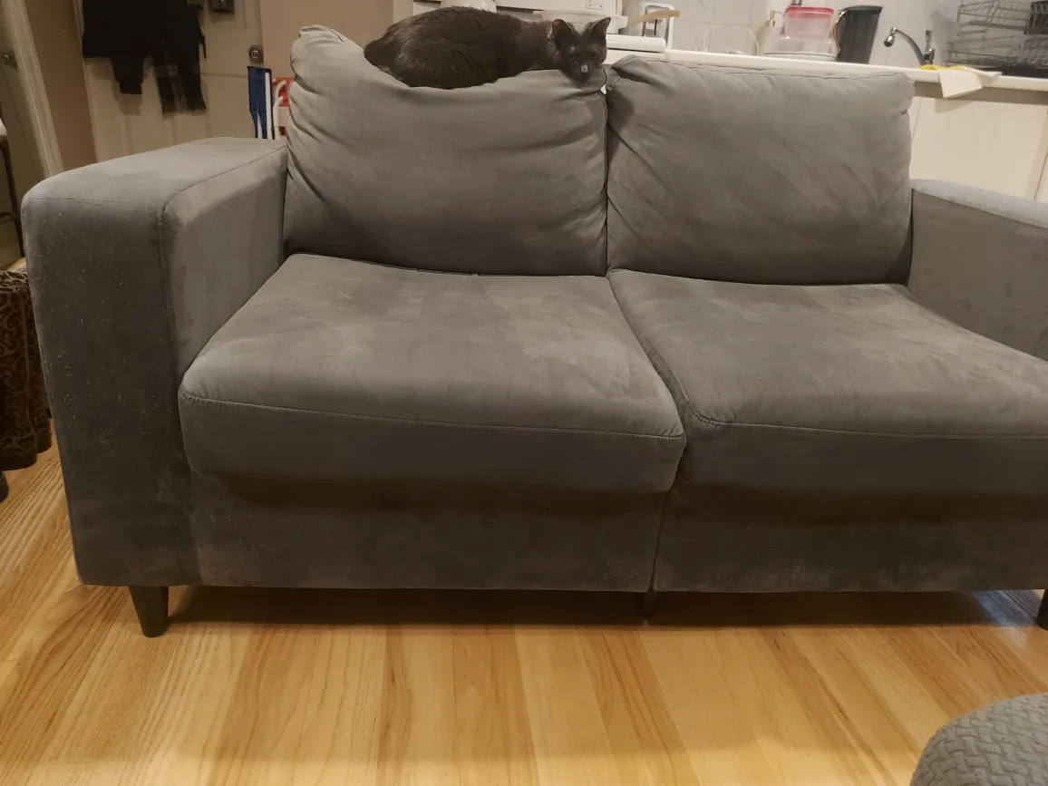 Grey Loveseat Sofa image indicator(2)