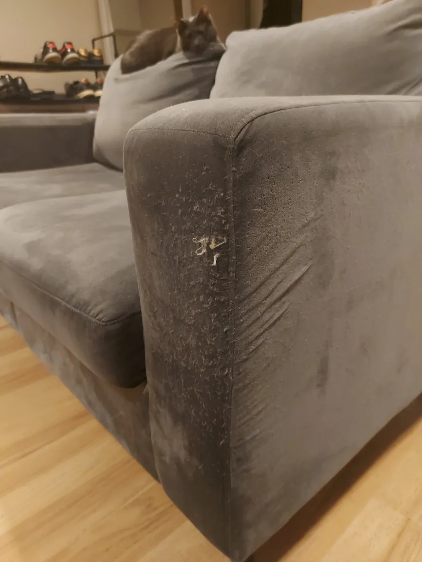 Grey Loveseat Sofa image indicator(4)