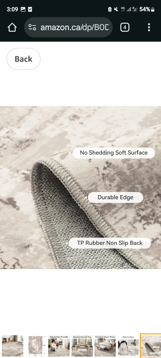 Abstract Neutral Area Rug image indicator(6)