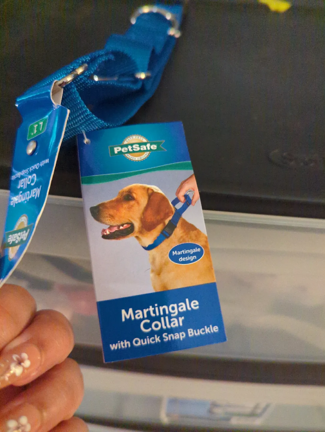 PetSafe Martingale Collar - L 1" thumbnail