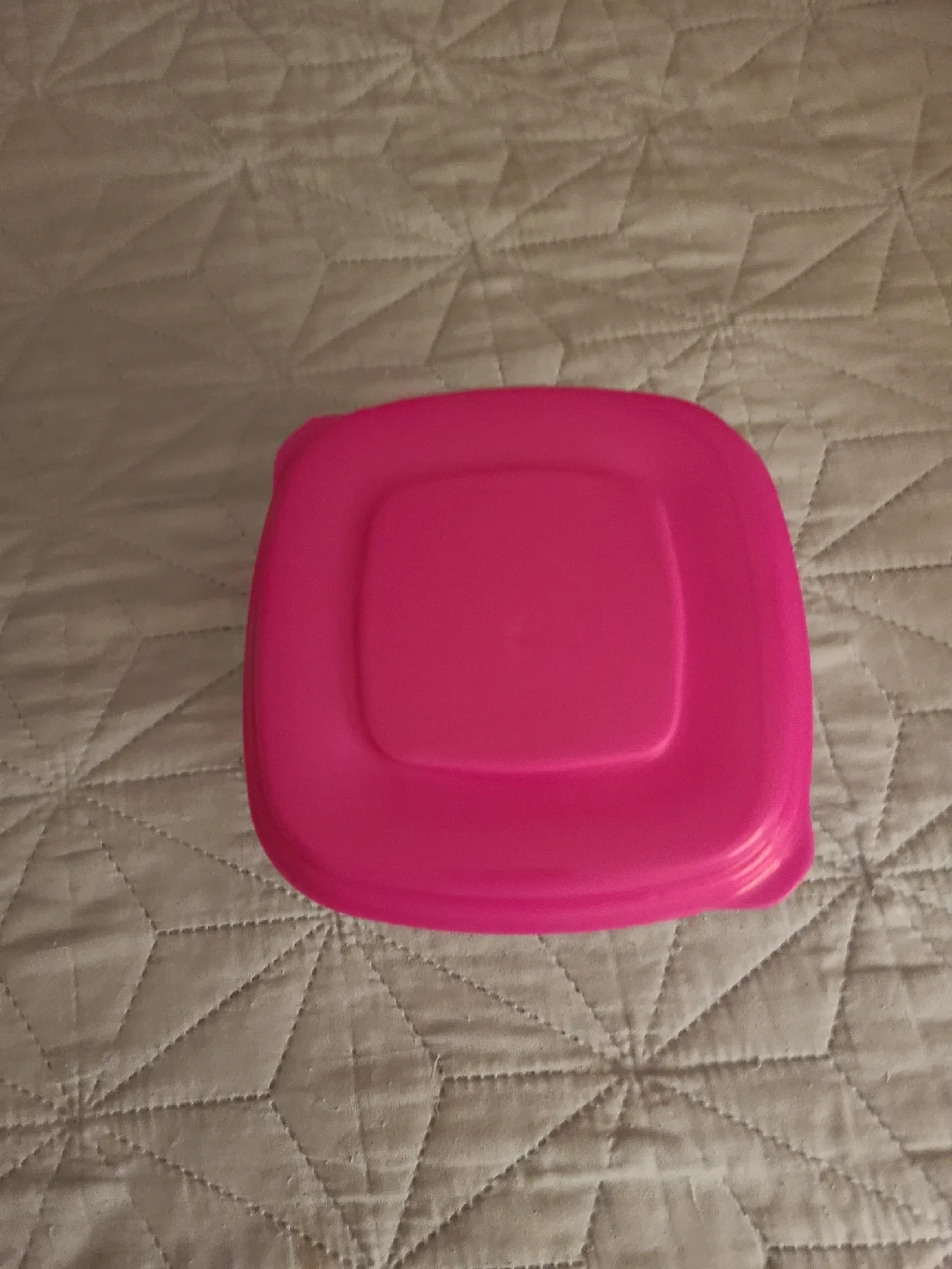 Container Set - Pink Lids 🥕 thumbnail