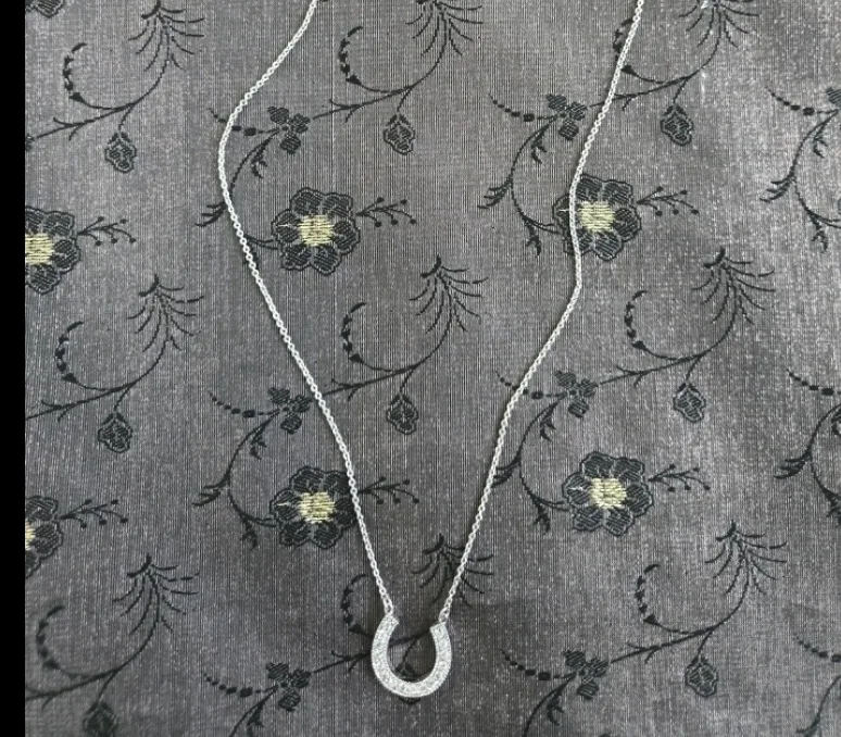 Horseshoe Pendant Necklace thumbnail