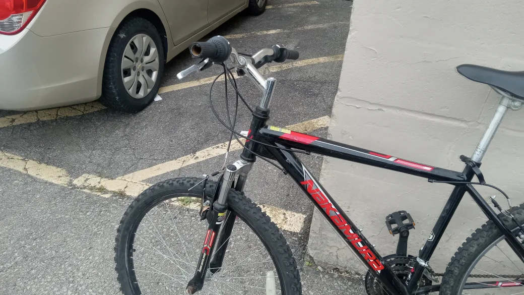 - Black & Red Nokemara image indicator(4)