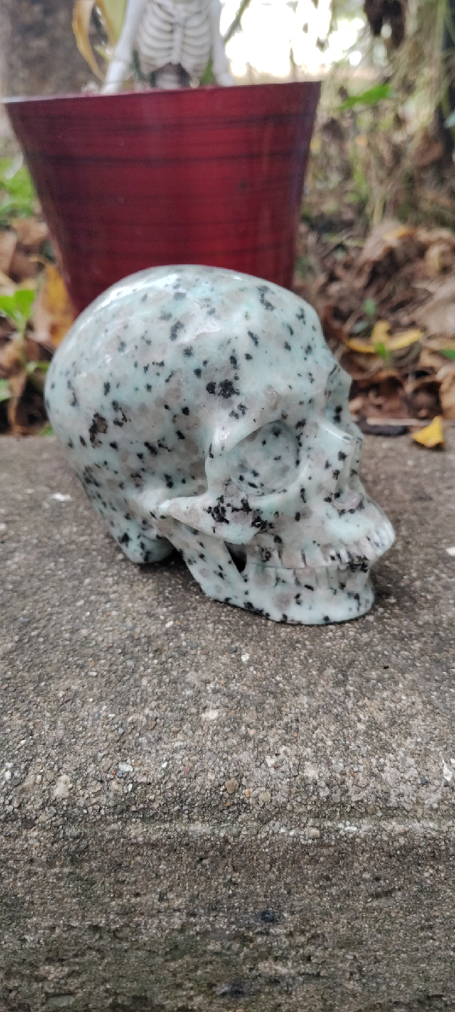 Kiwi jasper skull - photo 4
