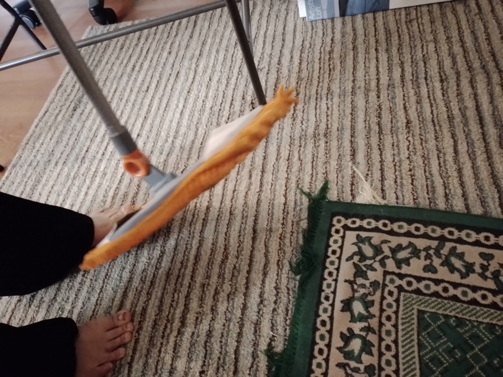 Microfiber Mop