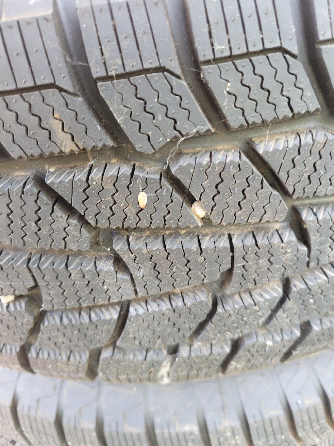 New Winter Tires - photo 2