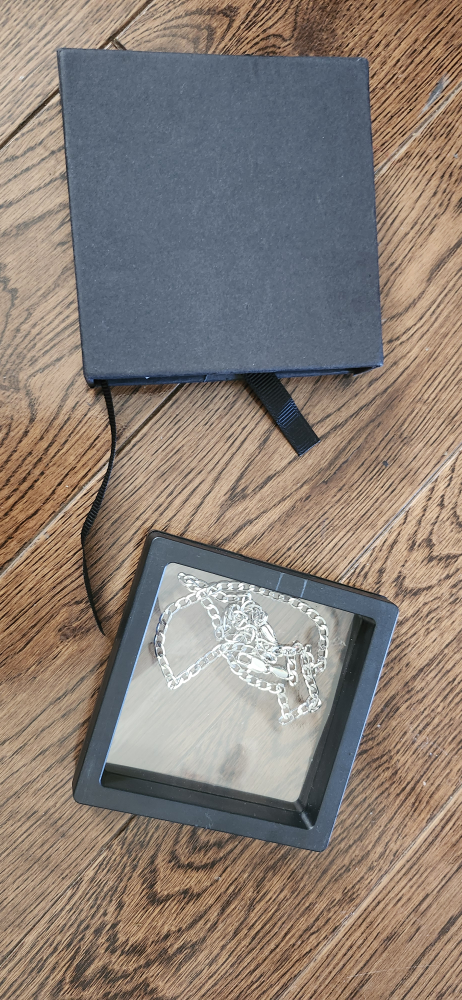 Silver Chain Necklace with Box🥕
