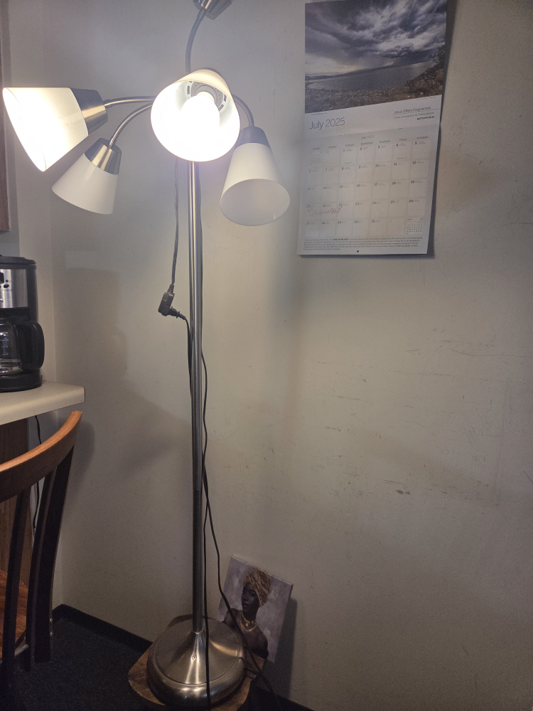 Floor lamp with 5 lights
