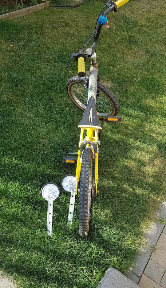 Street Boss Bike