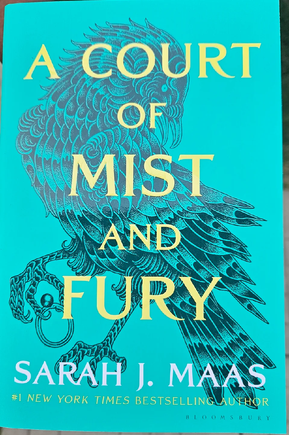 A Court of Thorns and Roses Series by Sarah J. Maas image indicator(6)