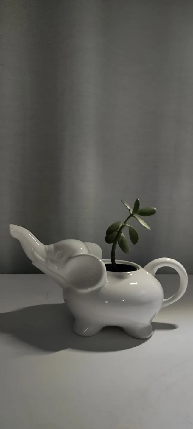 Elephant planter & Jade - Cute Home Decor image indicator(4)
