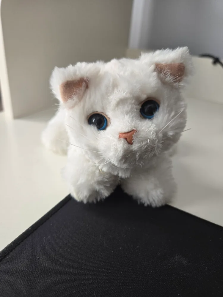 White Stuffed Cat Plush Toy thumbnail