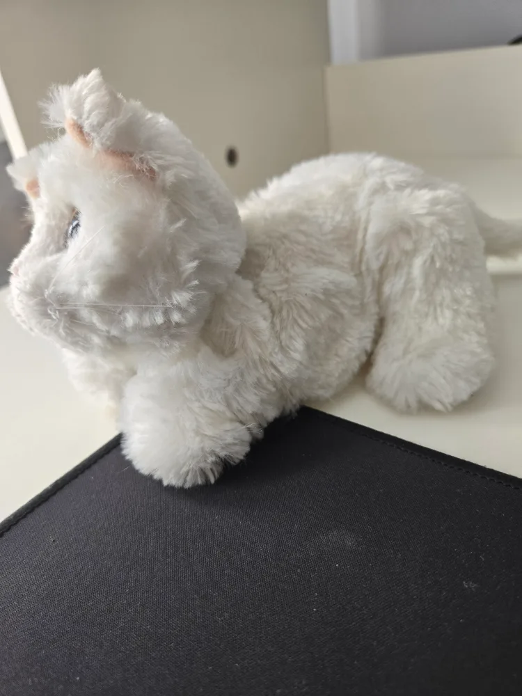 White Stuffed Cat Plush Toy image indicator(2)