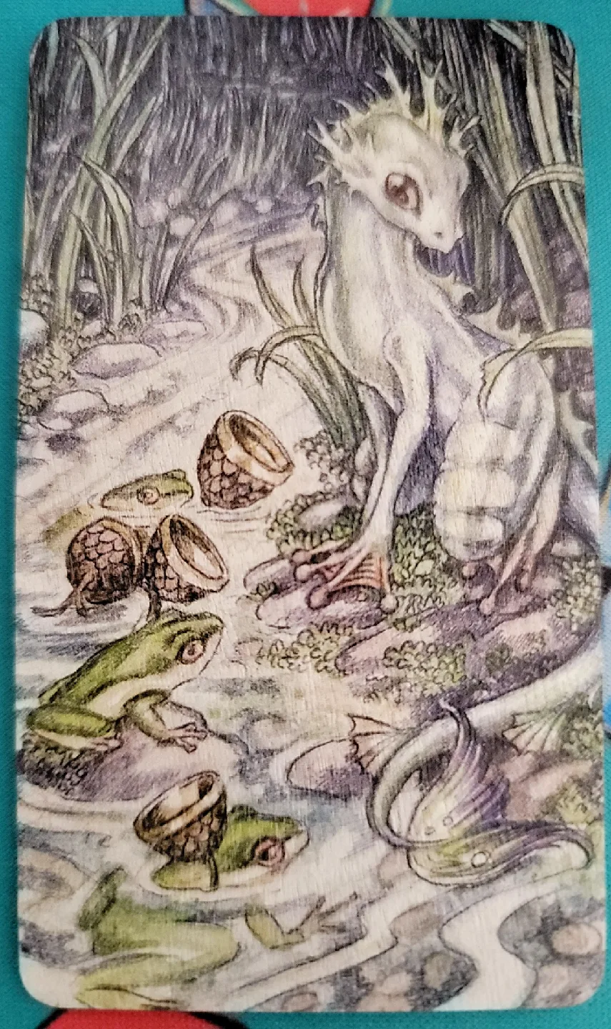 🥕 Wooden Magnets image indicator(3)