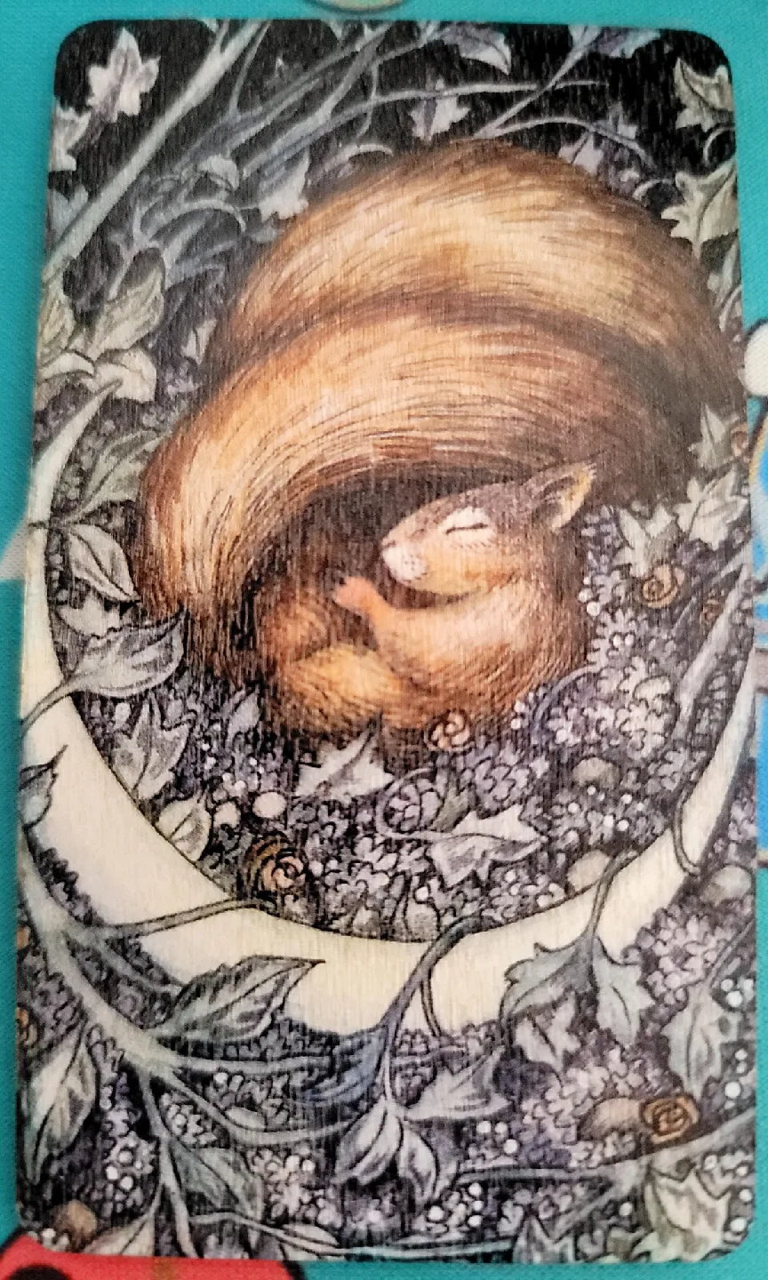 🥕 Wooden Magnets image indicator(4)