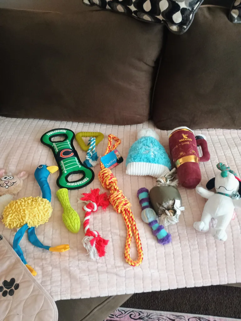 Dog Toys & Paw Print Pads thumbnail