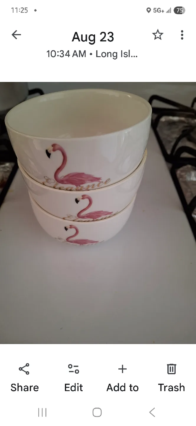 Set of 3 Flamingo Bowls thumbnail
