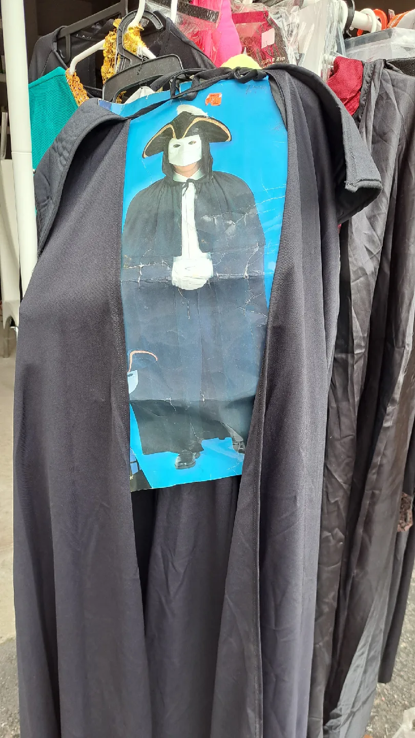 Adult Halloween Costume image indicator(9)