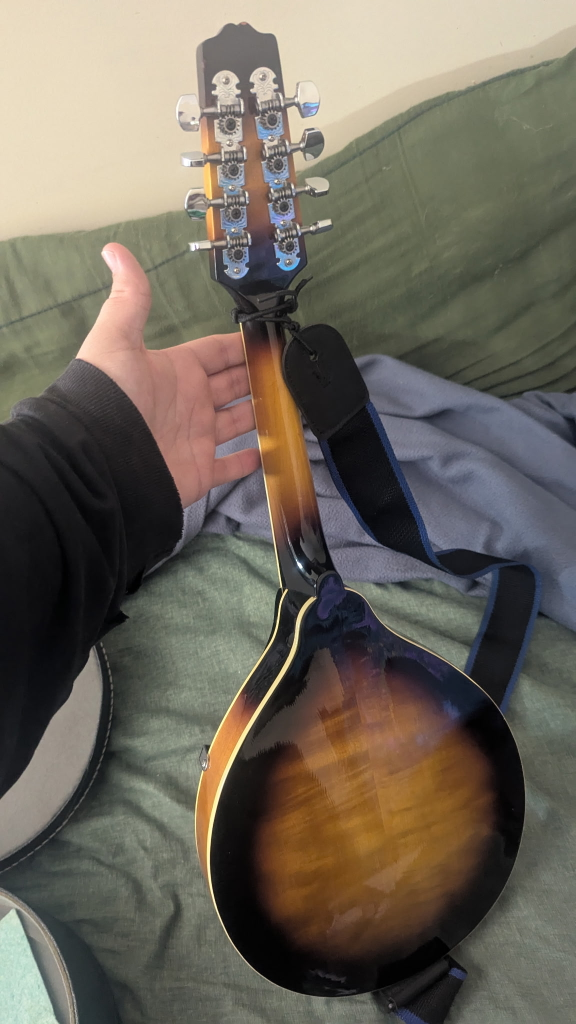 Beginner Mandolin - photo 2