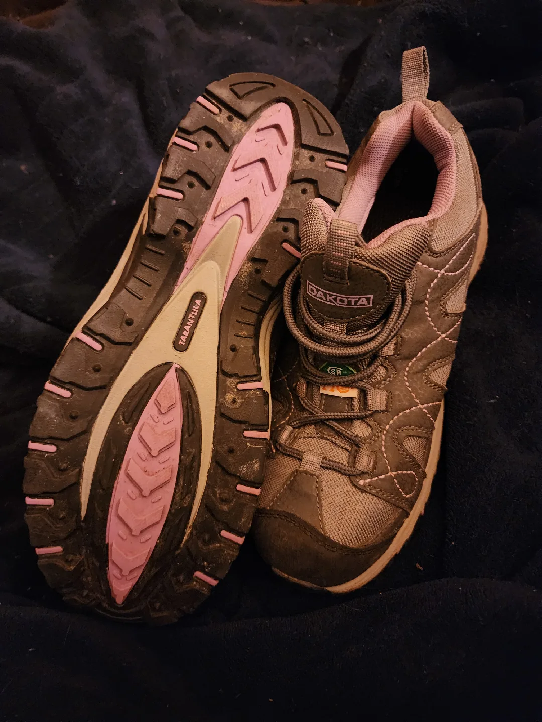 Dakota Tarantula PURPLE and Gray  NOT pink image indicator(2)