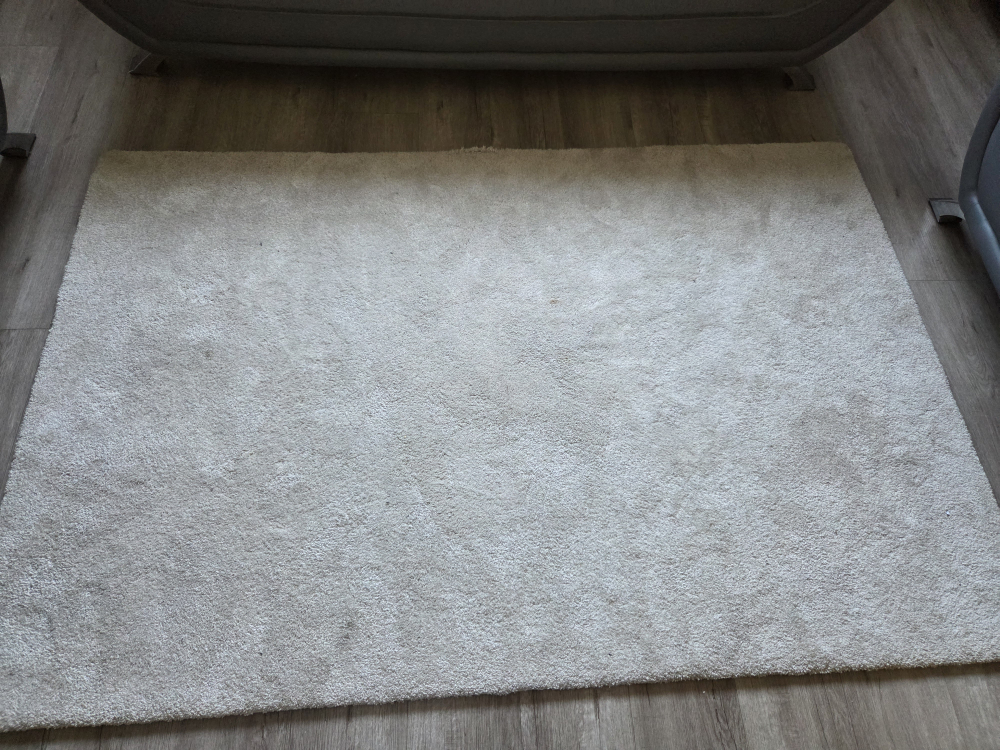 Beige Area Rug