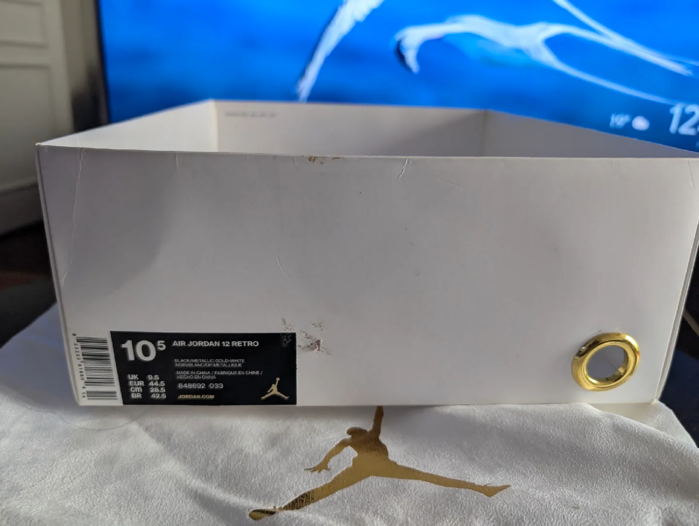 Jordan 12 Retro Wings size.10.5 image indicator(6)
