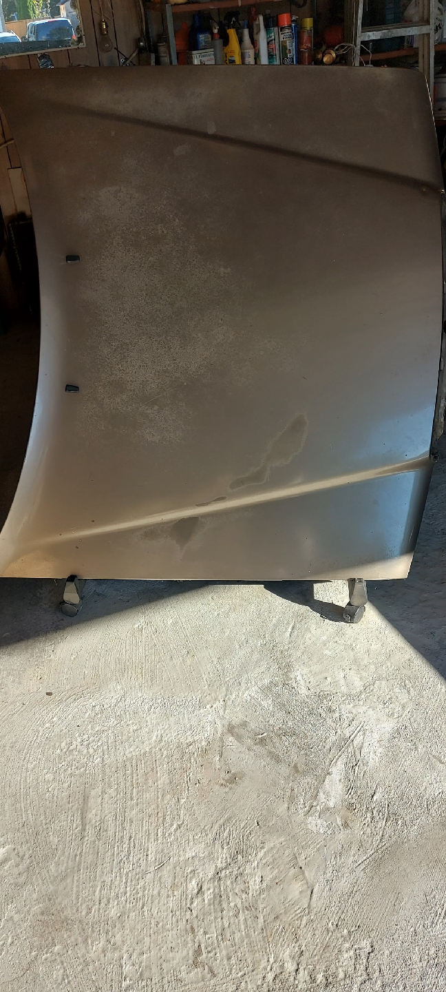 Mercedes front hood W124