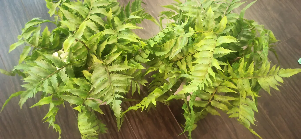 Artificial Potted Fern Plant. 2plant set thumbnail