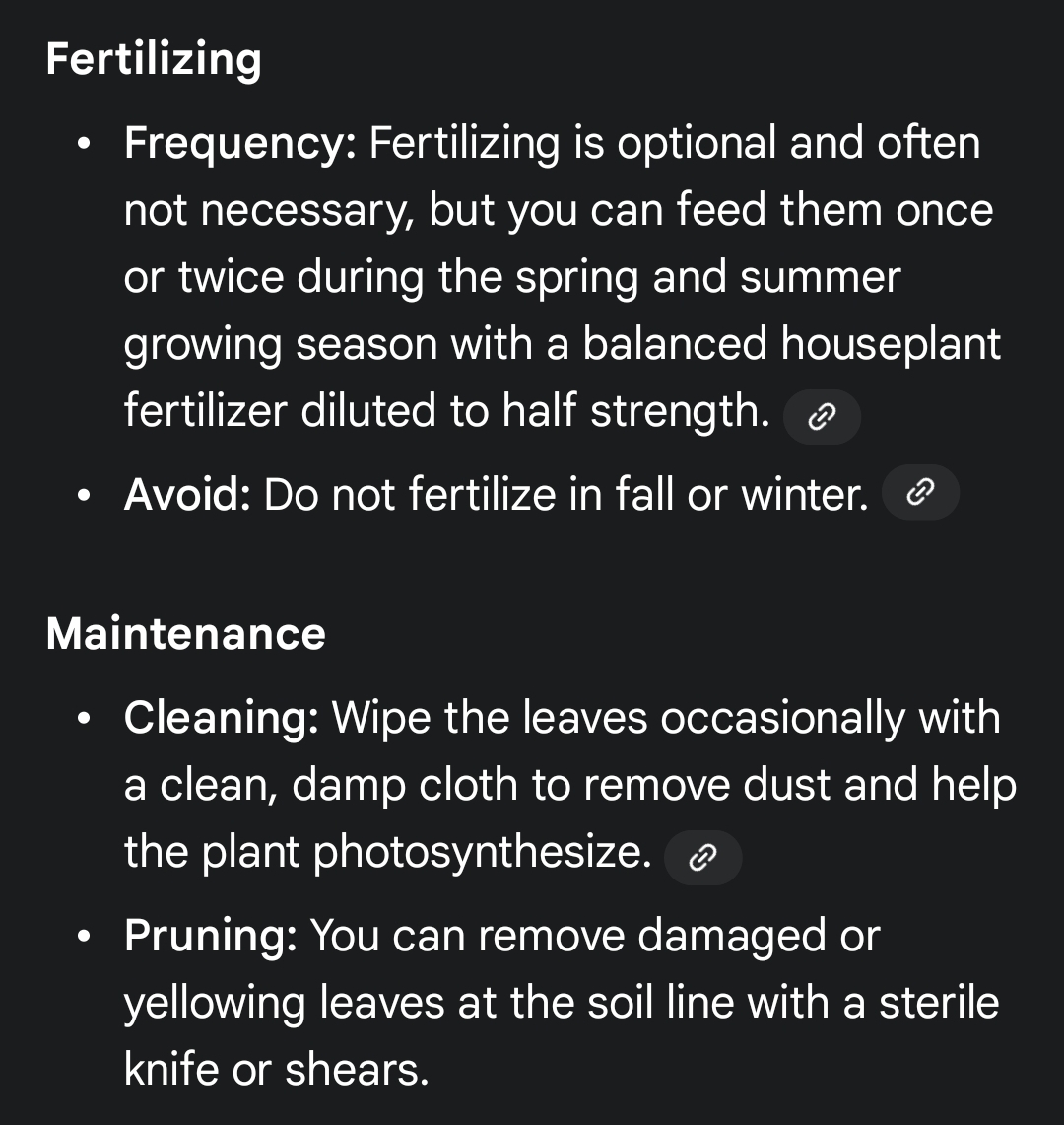 Snake Plant with White Pot and Metal Stand - photo 5