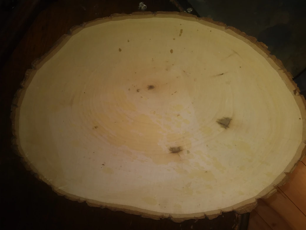 Wood Slice