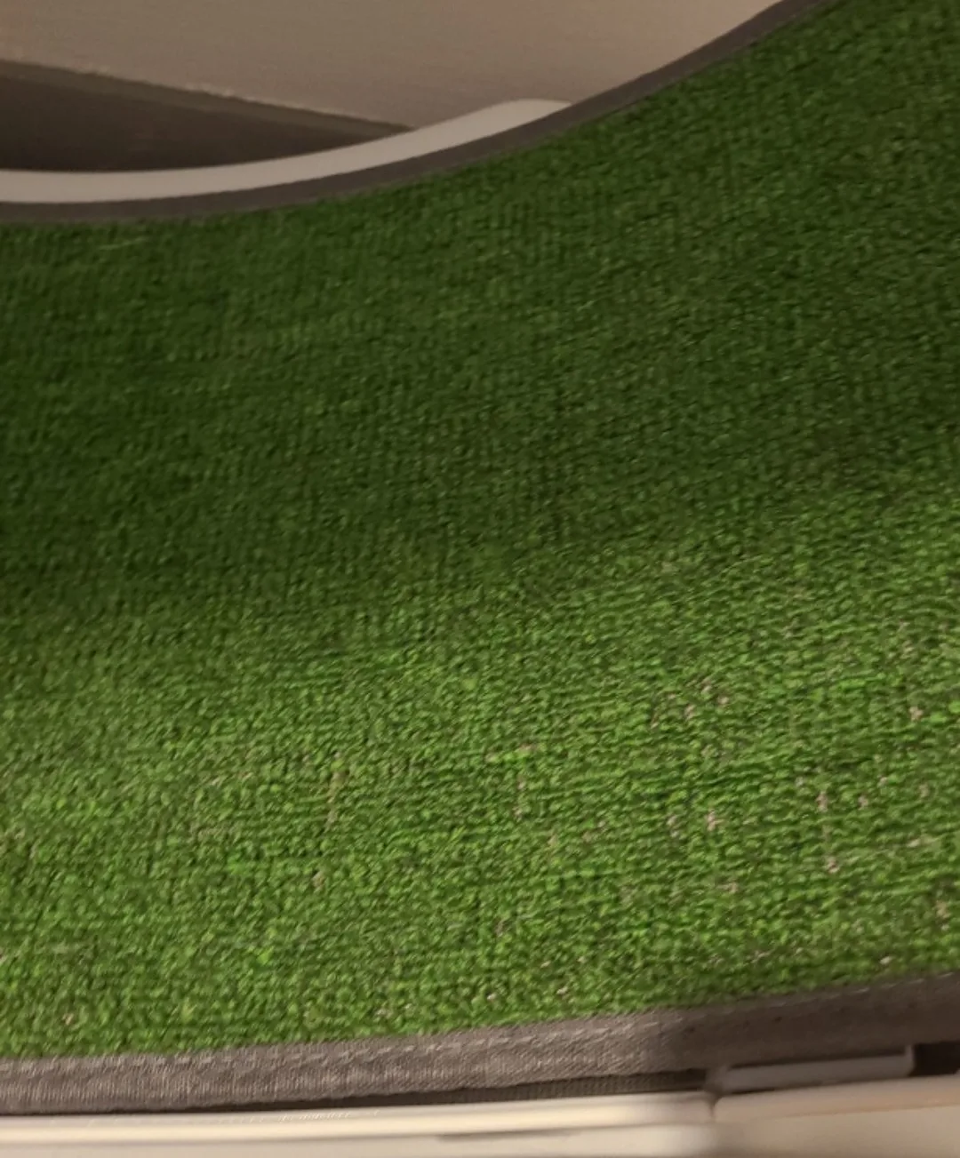 Large Cat Treadmill Exercise Wheel image indicator(4)