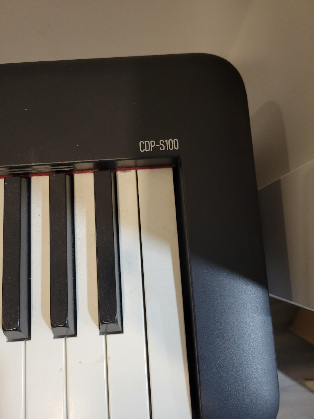 Casio CDP-S100 Digital Piano - photo 3