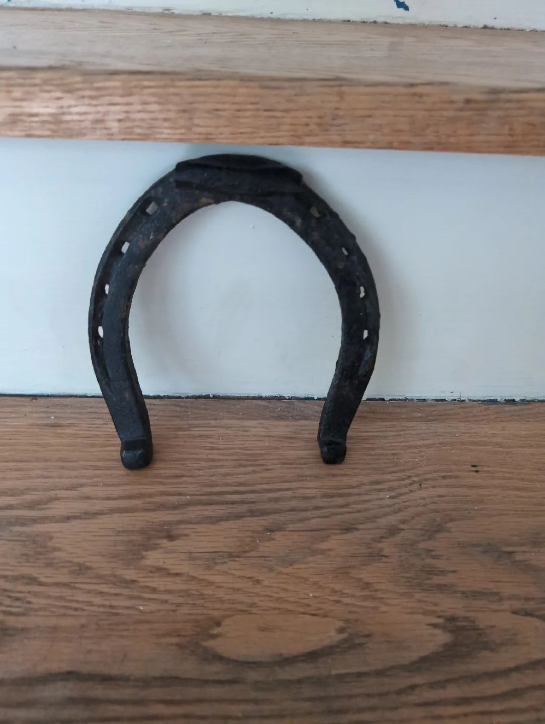 Used Horseshoe image indicator(2)