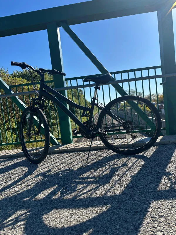 Black Bicycle image indicator(4)