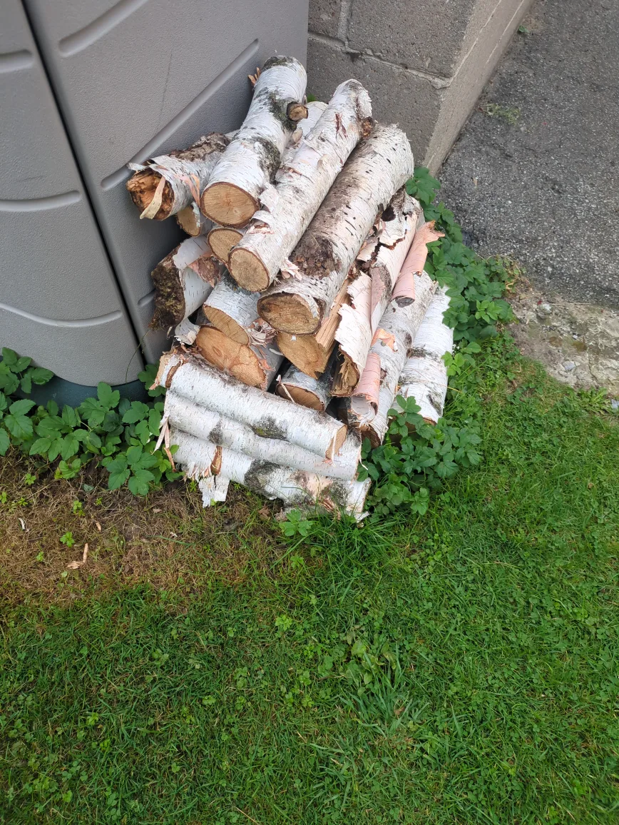 Free fire logs 🥕 image indicator(2)