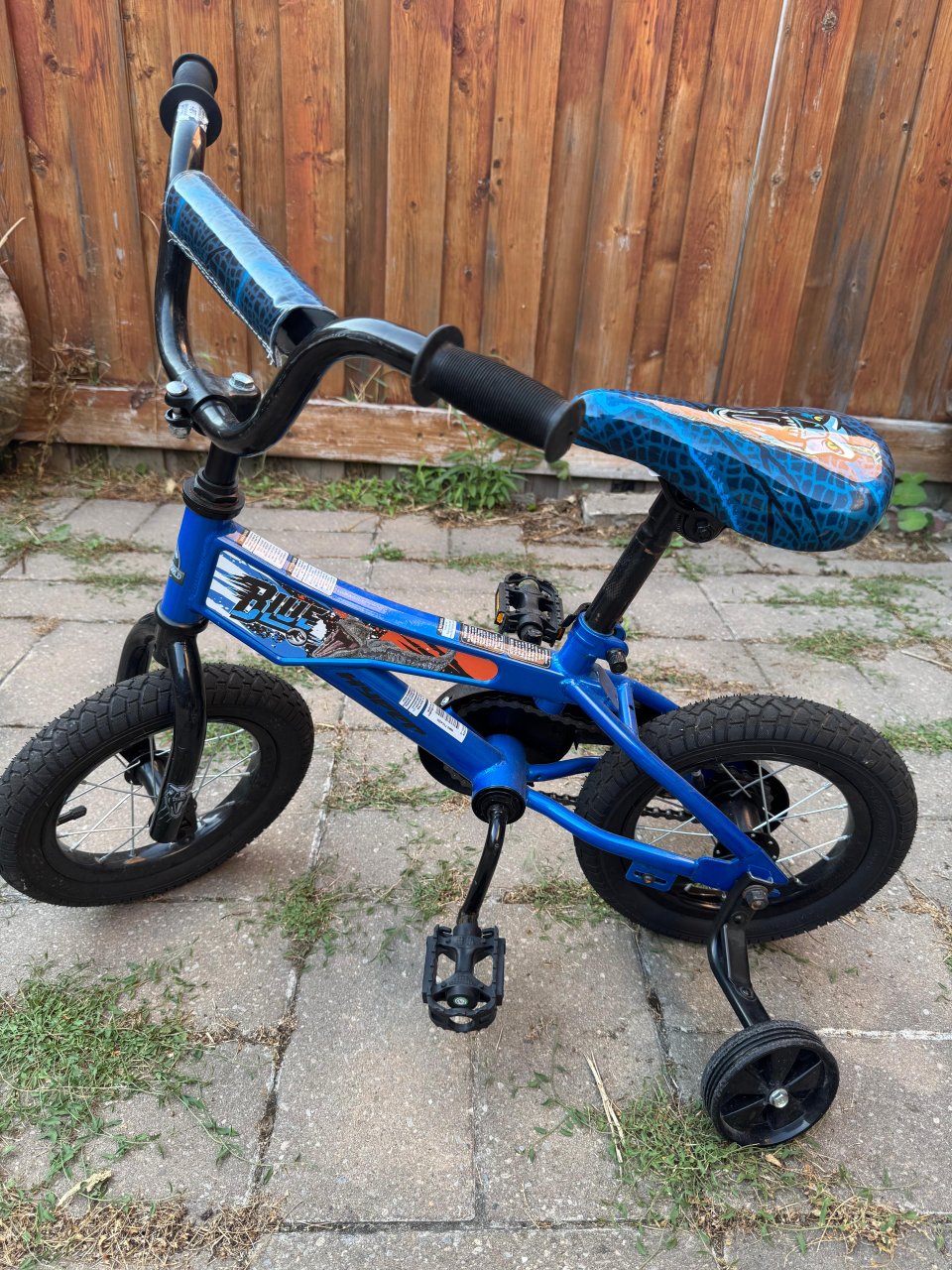 Blue Kids' Bike - Claws Out