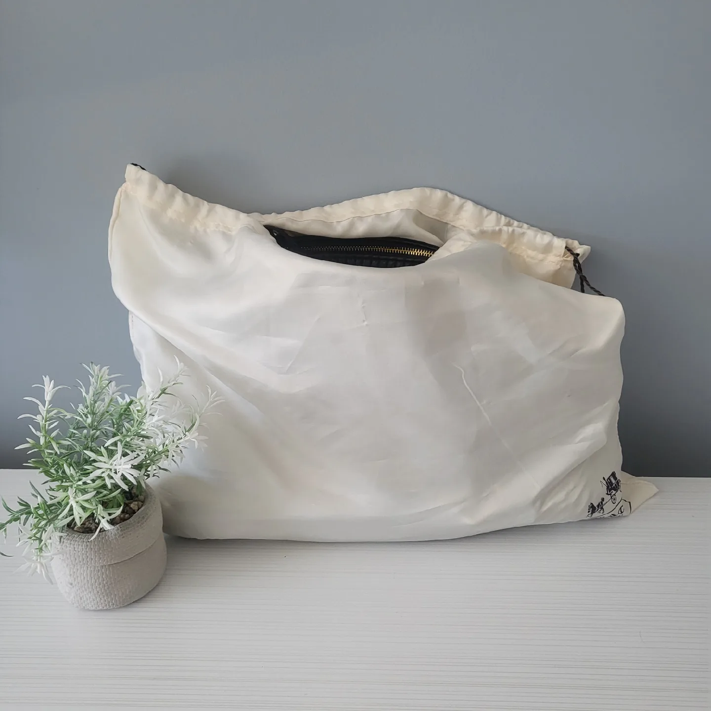 Premium Coach Crossbody!✨️ image indicator(7)