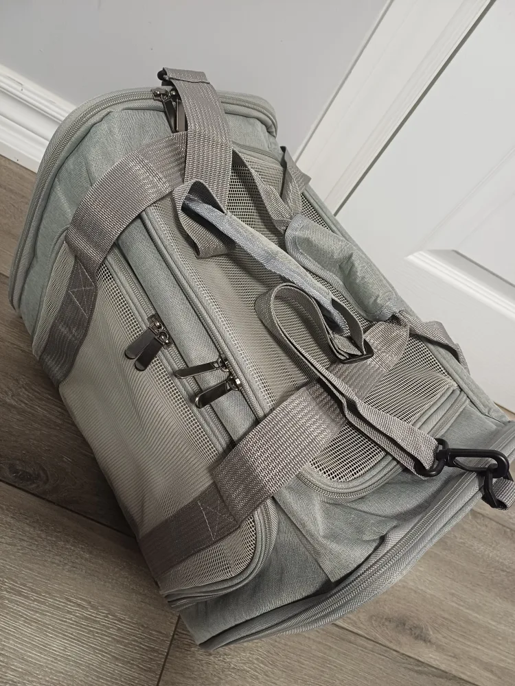 Grey Pet Carrier - 17x11x11 inches image indicator(7)