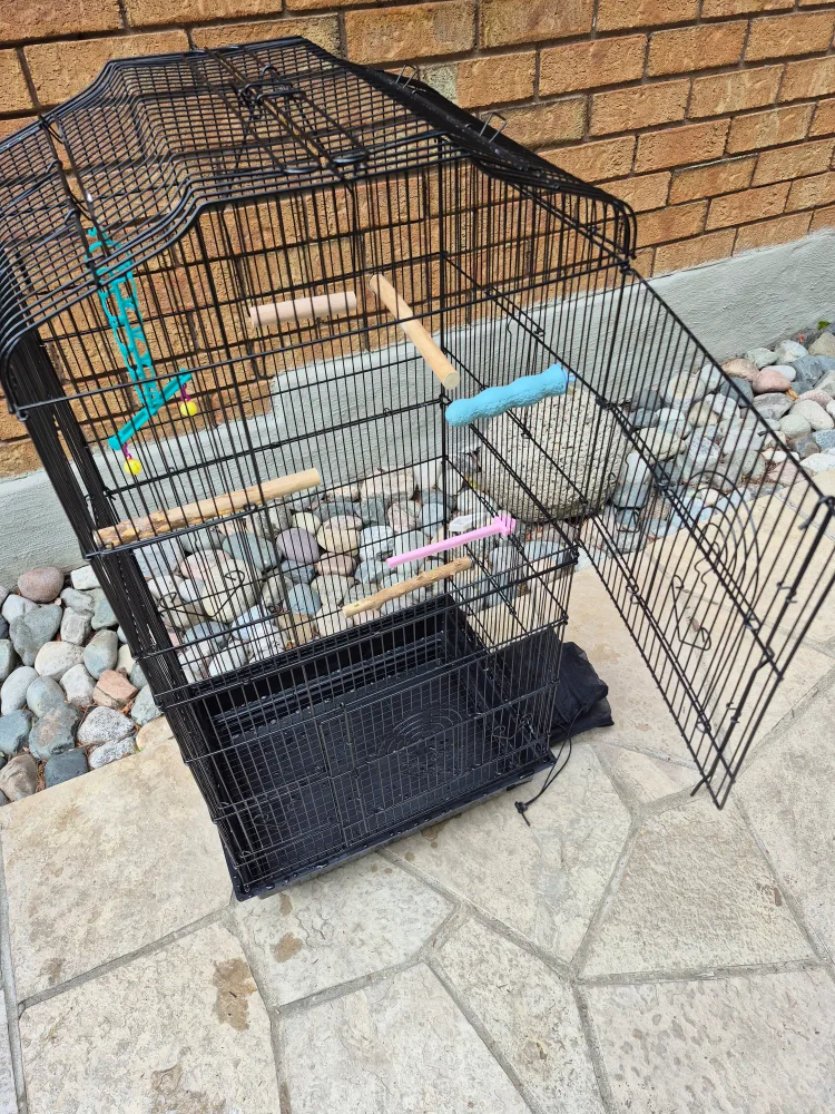 Black Bird Cage with Accessories - like BRAND NEW image indicator(4)