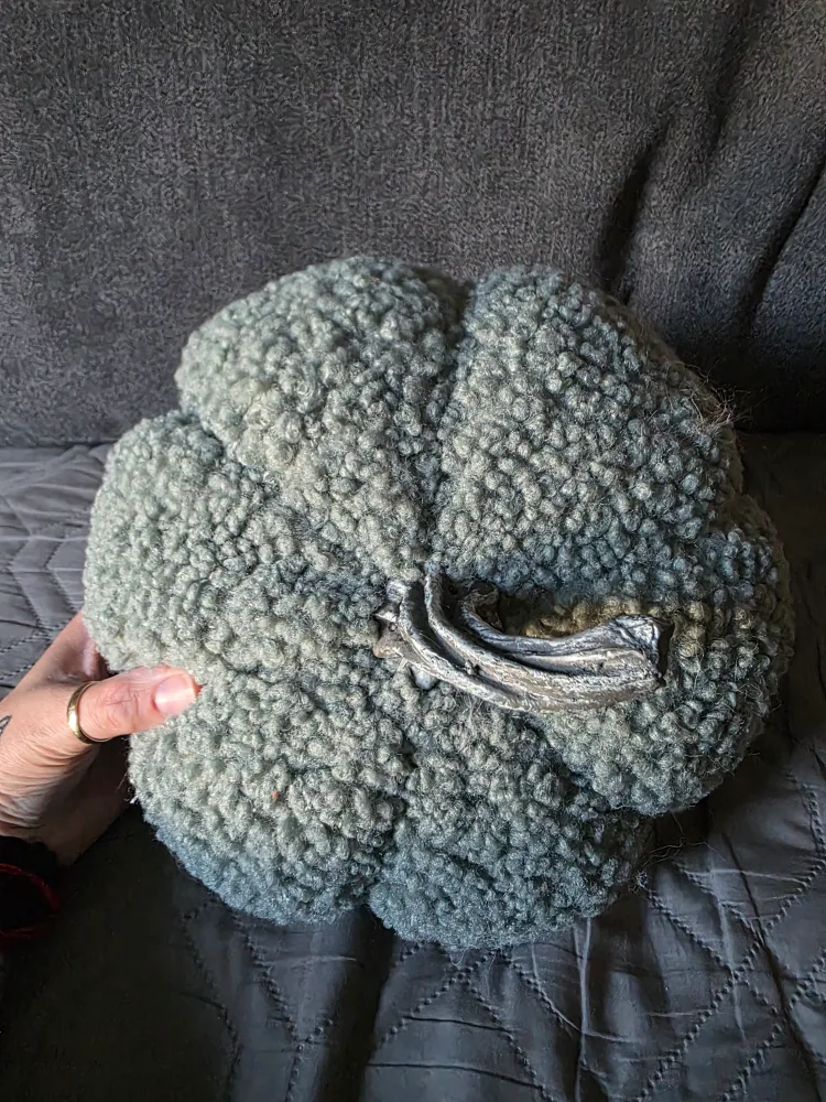 Greenish fluffy pumpkin image indicator(2)