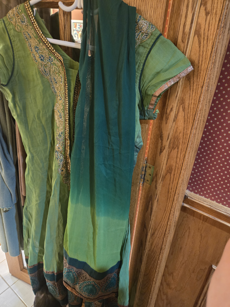 Green Embroidered Indian Dress - photo 4