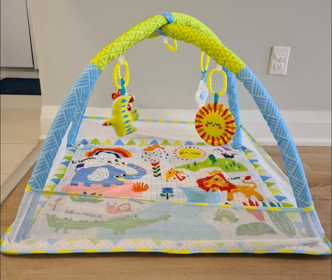 Baby Play Gym Mat - photo 3