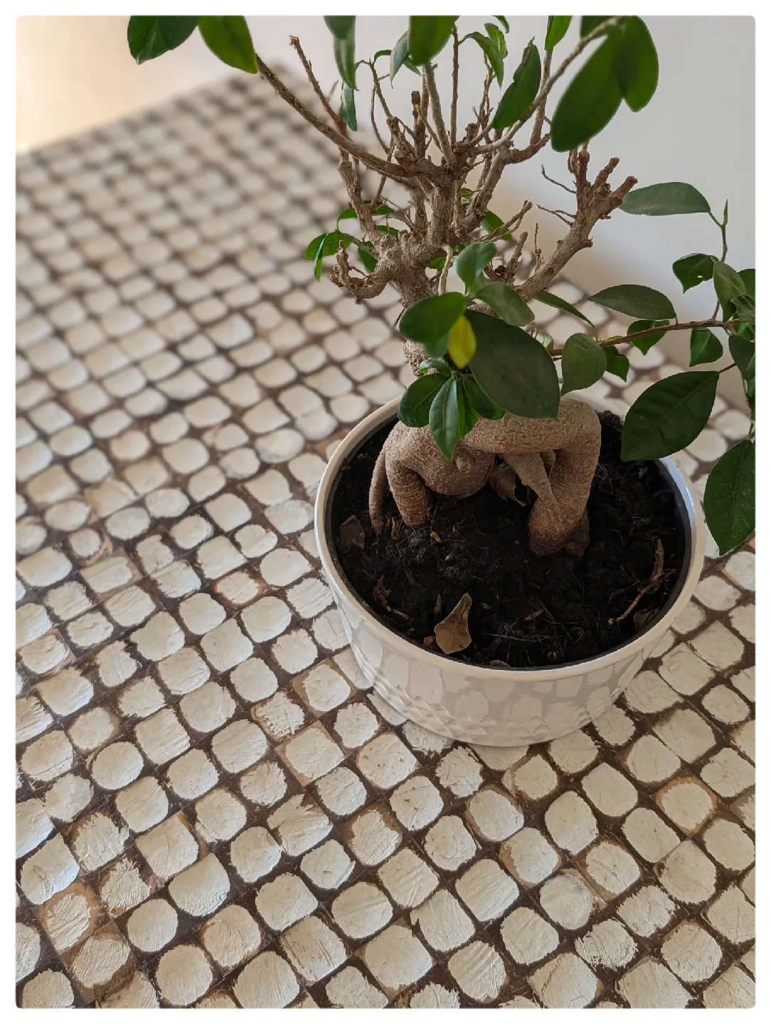 coffee table image indicator(3)